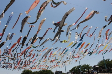 ○○○海浜公園写真